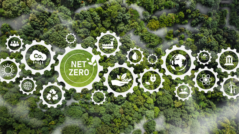Net zero concept over forest
